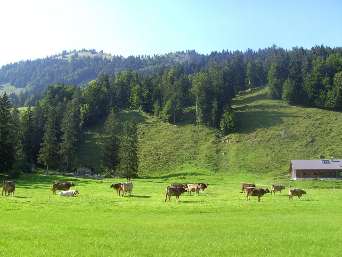 Gaestehaus Lutz Mellau Exteriör bild